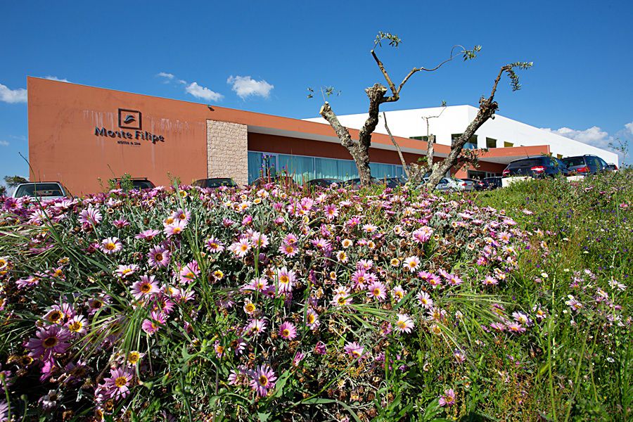 Monte Filipe Hotel Alpalhão Exteriör bild